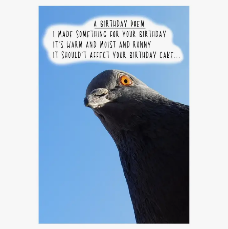 A Birthday Poem - Funny Birthday Card