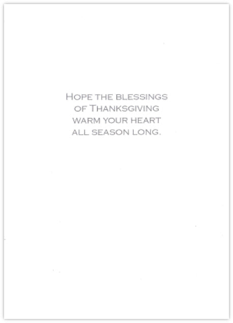With Warm Thanksgiving Wishes Card