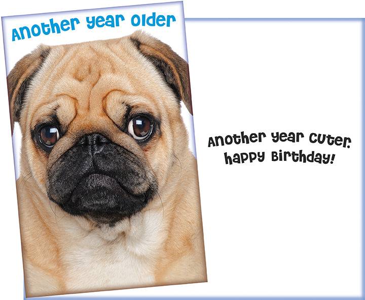 Humor Birthday Card
