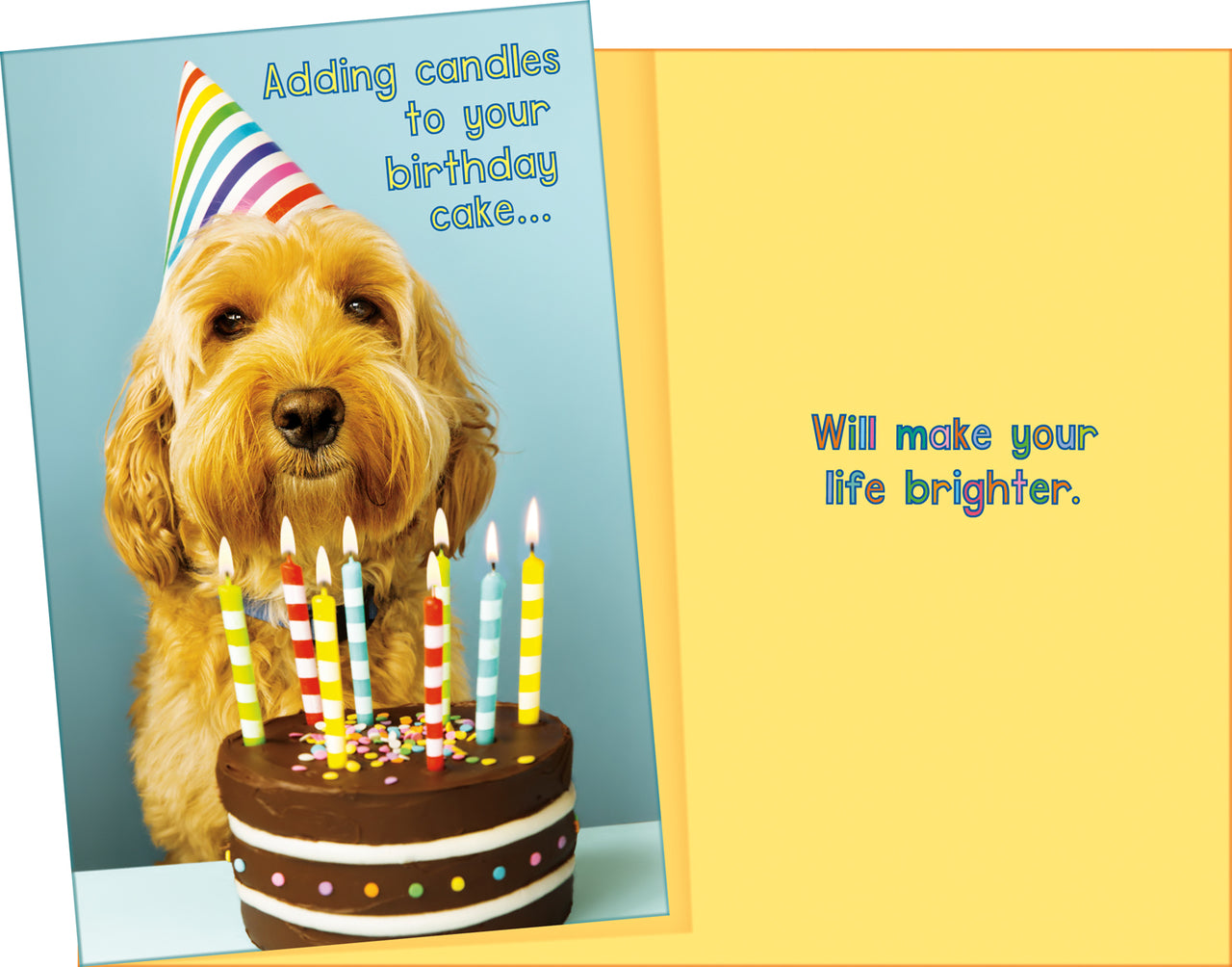 Humor Birthday Card