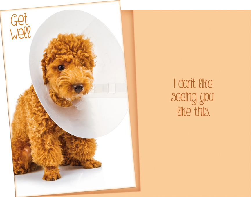 Get Well Card
