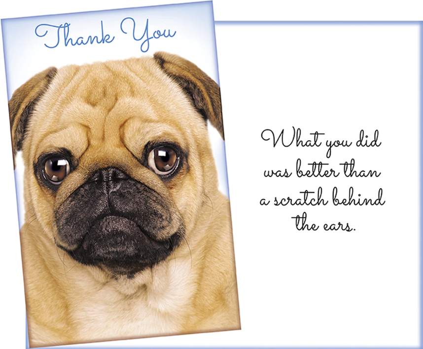 Thank You Card