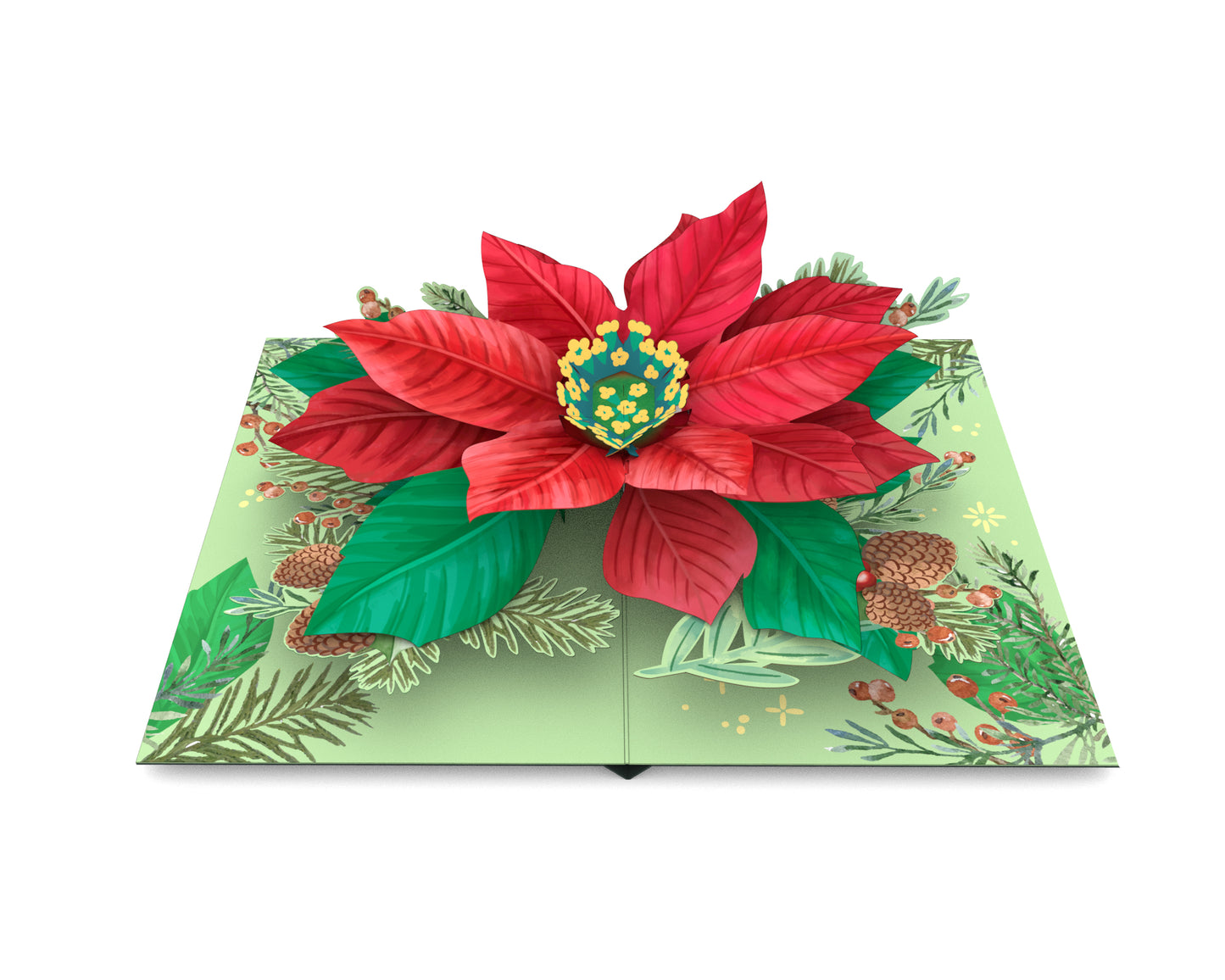 Poinsettia Bloom Pop-Up Card