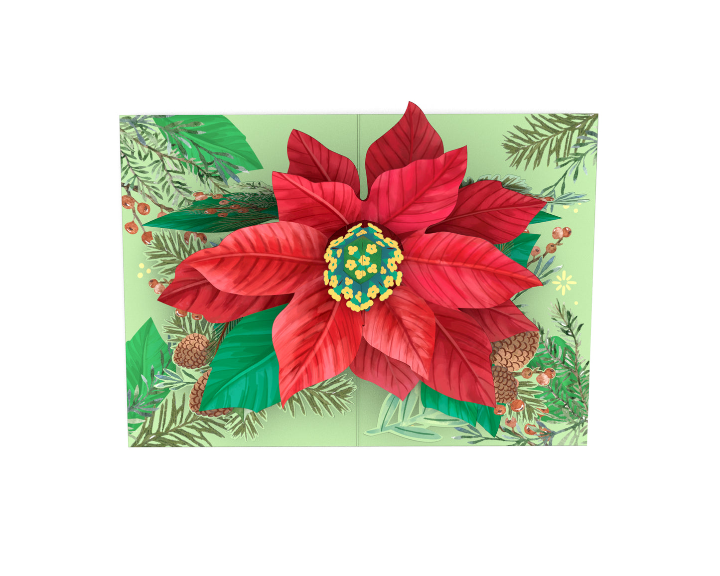 Poinsettia Bloom Pop-Up Card