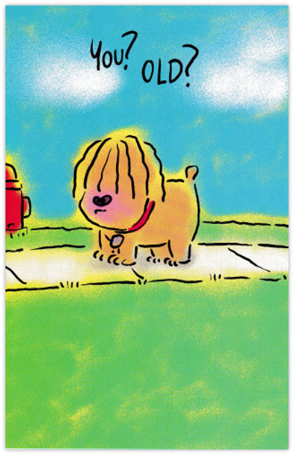 You? Old? - Funny Birthday Card