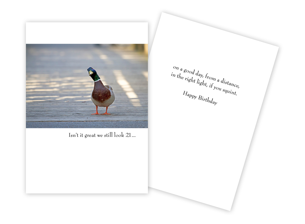 Duck Squint - Funny Birthday Card