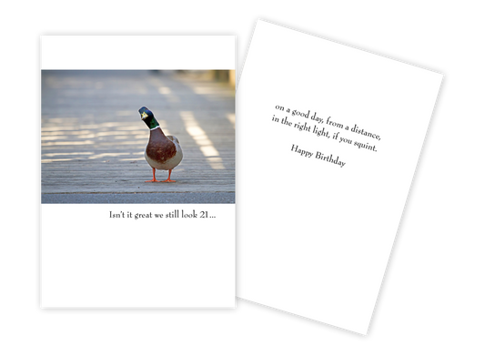 Duck Squint - Funny Birthday Card