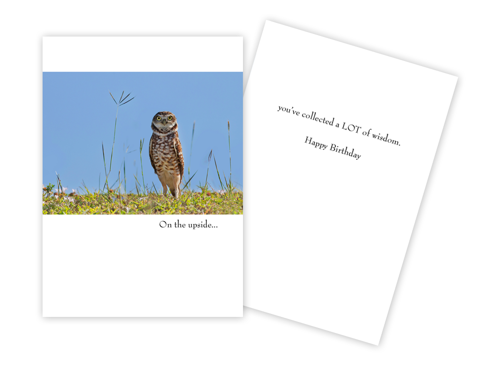 Wise Owl- Funny Birthday Card