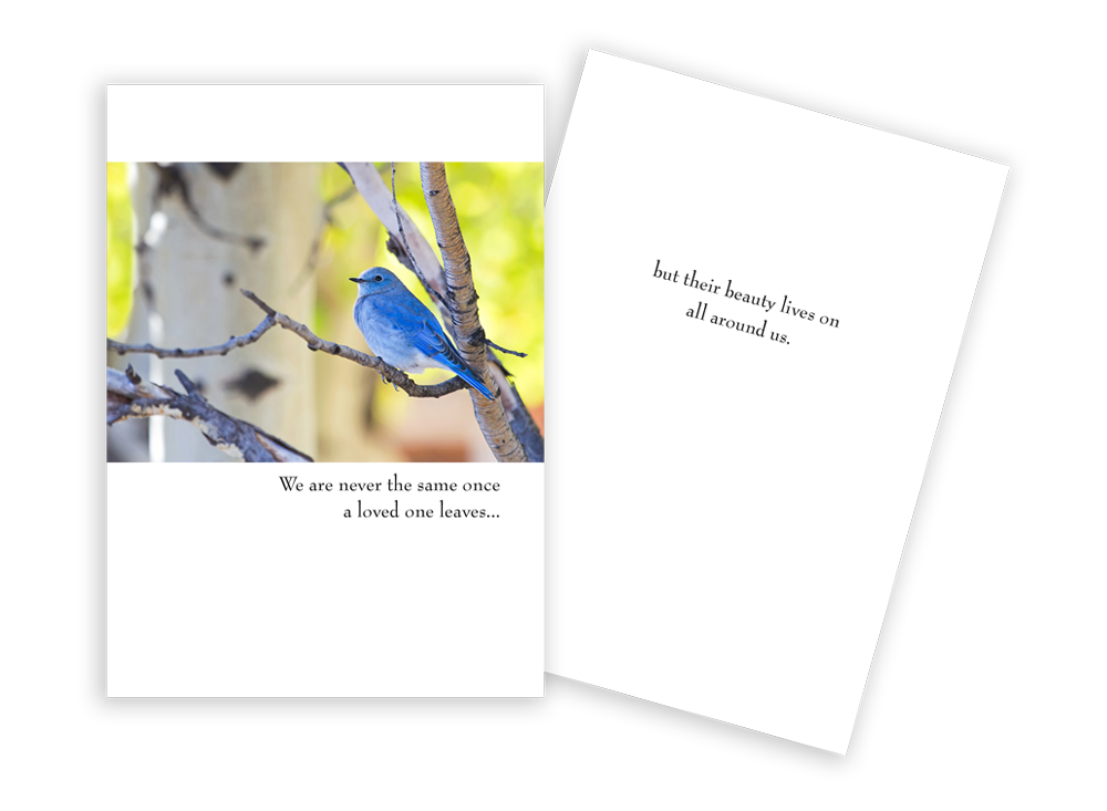 Bluebird On Branch - Sympathy Card