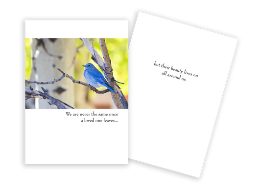 Bluebird On Branch - Sympathy Card