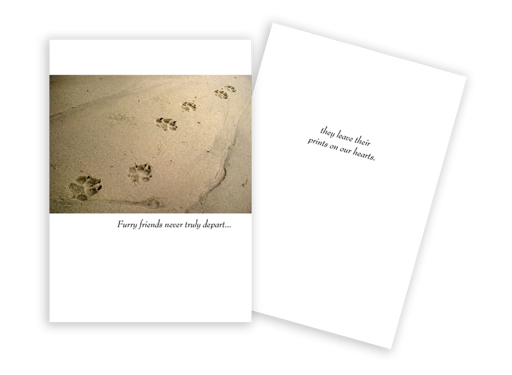 Paw Prints On Beach - Pet Sympathy Card