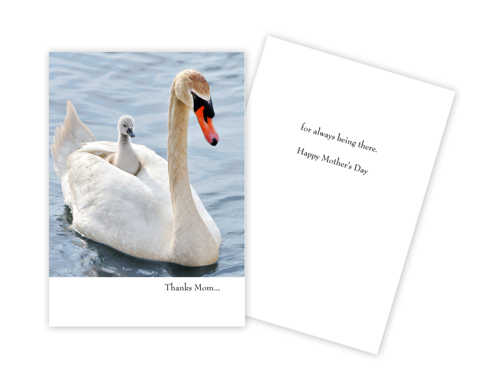 Thanks Mom... Happy Mother's Day Card