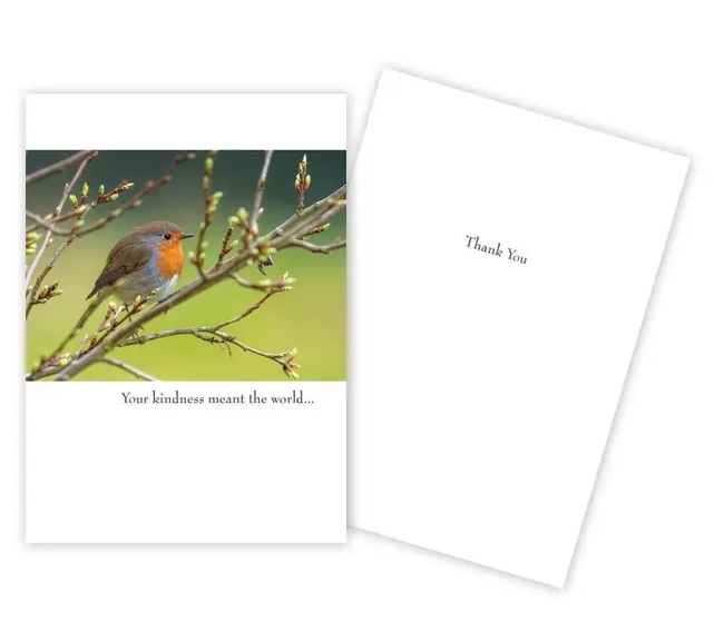 Your Kindness - Thank You Card