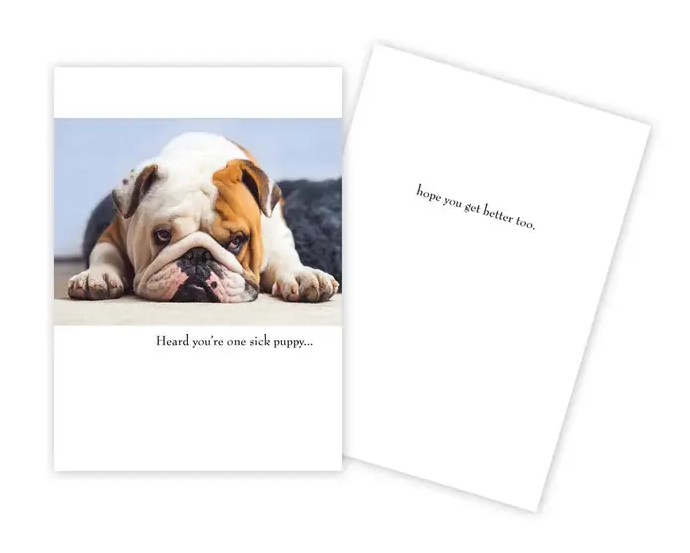 Cute Bulldog Get Well Card