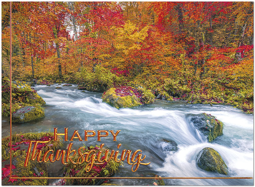 Happy Thanksgiving Card