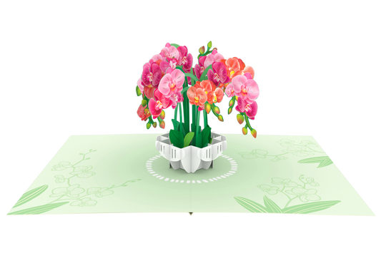 Orchids Pop-Up Card