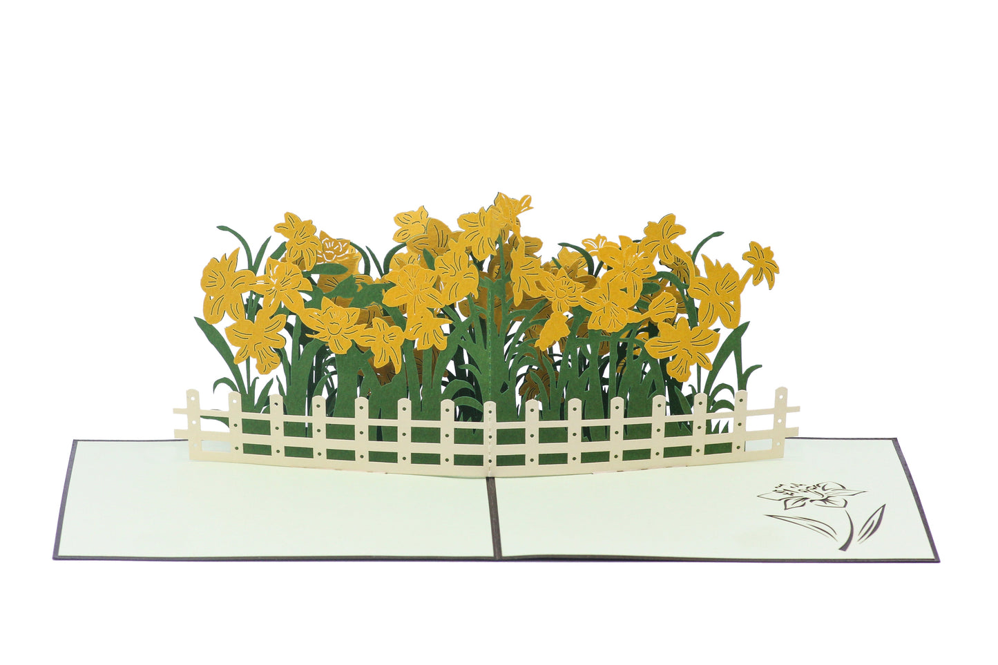 Daffodils Pop-Up Card