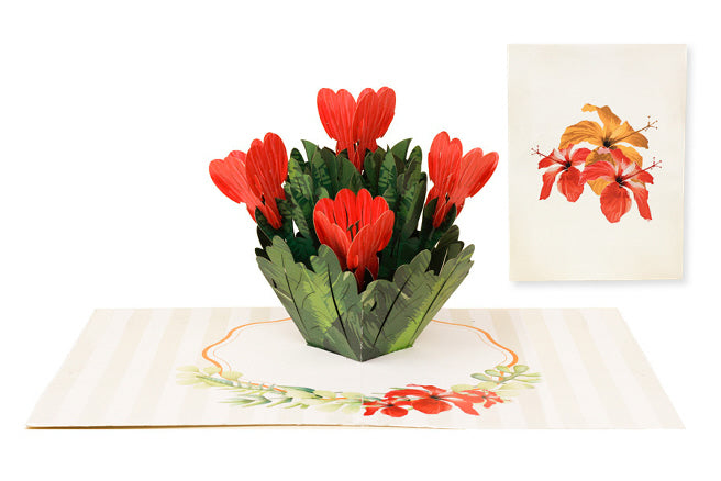 Hibiscus Pop-Up Card