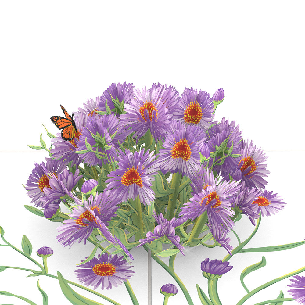 Asters Pop-Up Card