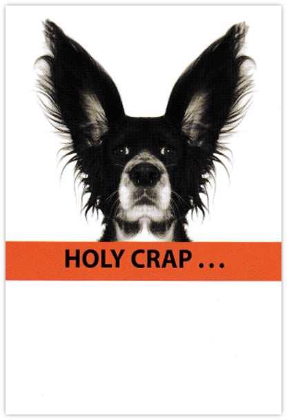 Dog Years - Funny Birthday Card