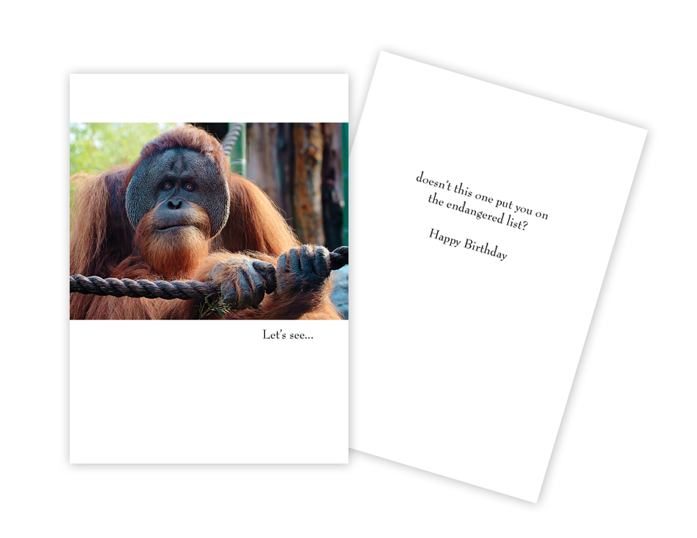 Orangutan - Funny Birthday Card