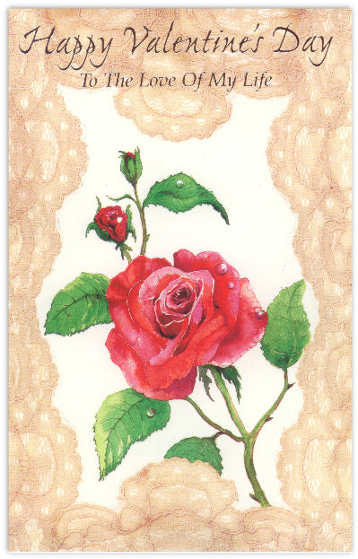 Valentine's Day Card