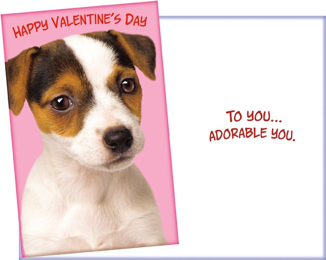 Valentine's Day Card