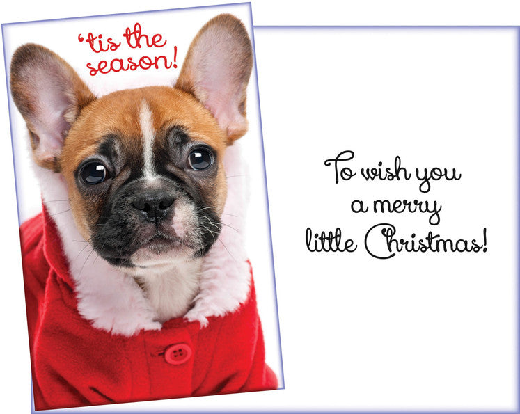 Christmas Card