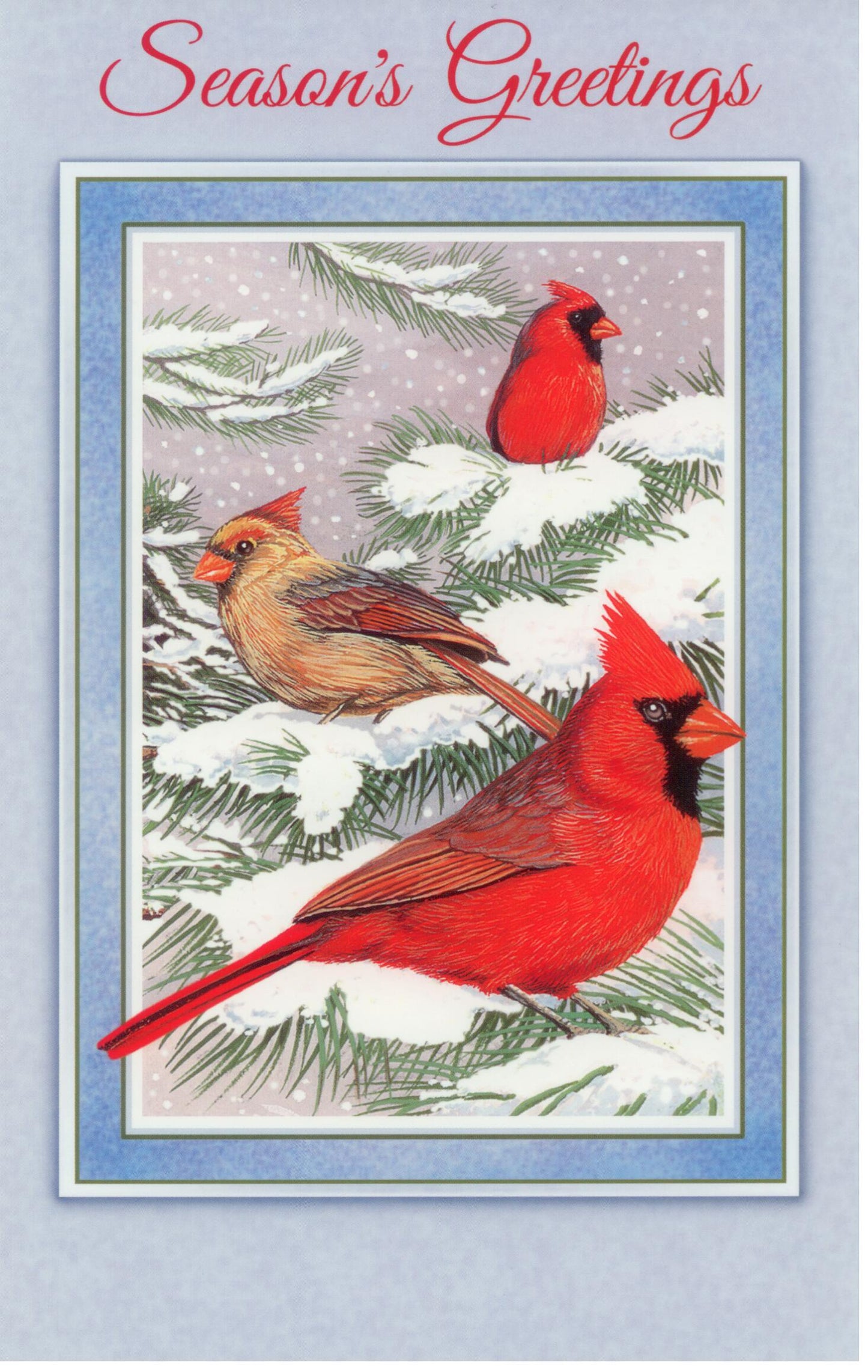 Season's Greetings Card