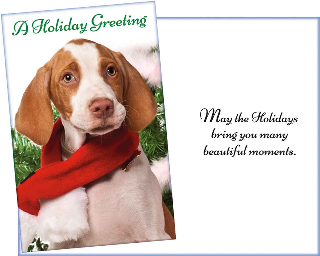 Holiday Card