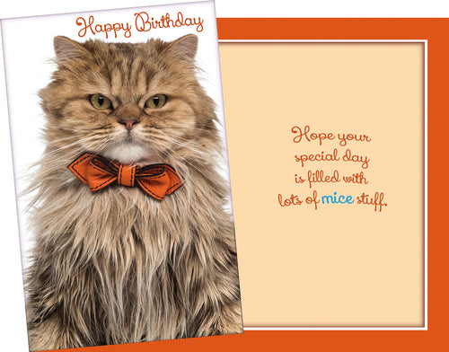 Humor Birthday Card