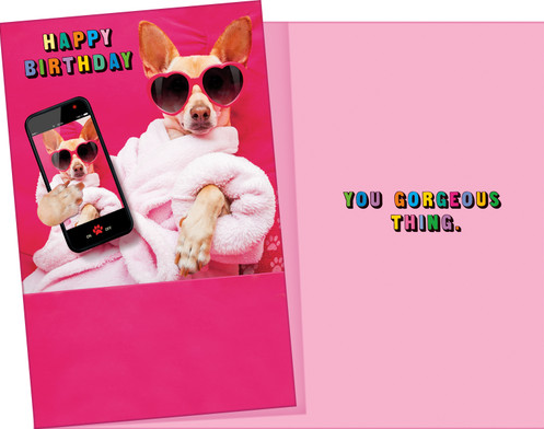 Humor Birthday Card