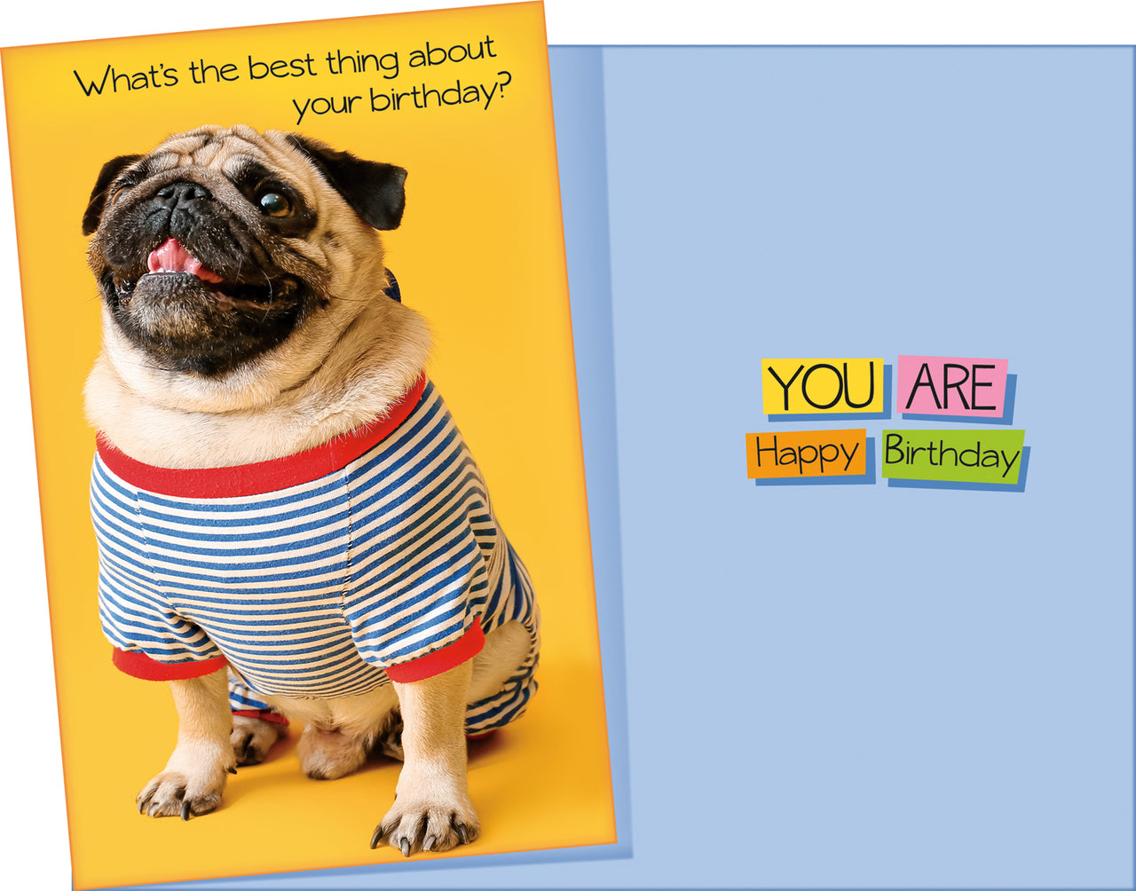 Humor Birthday Card