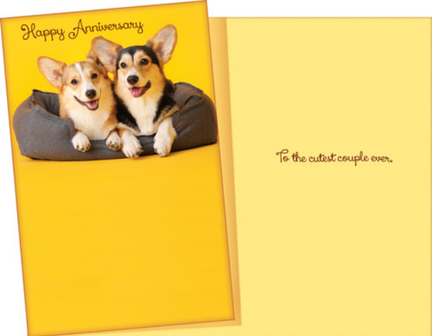 Corgi Anniversary Card