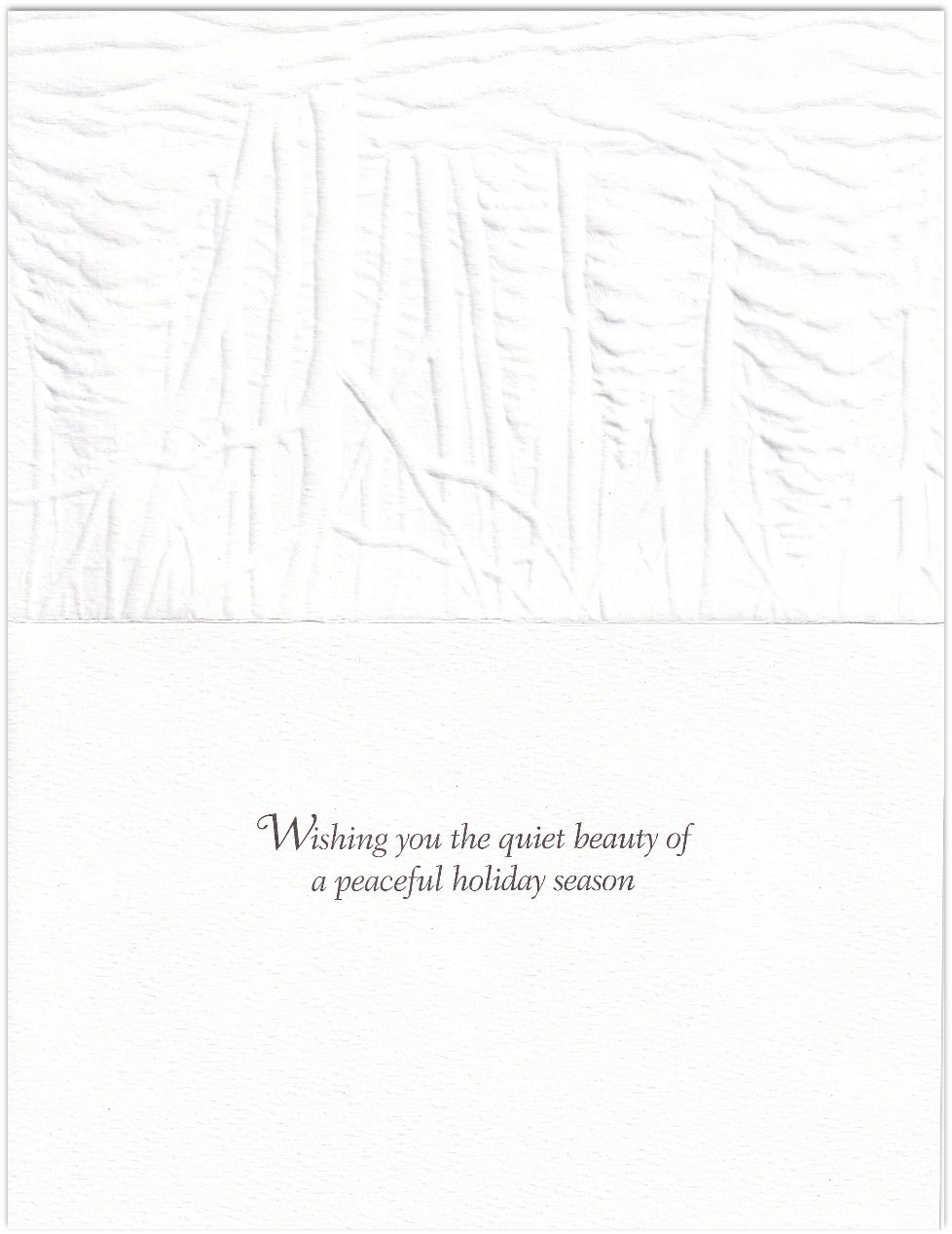 Serene View Holiday Card