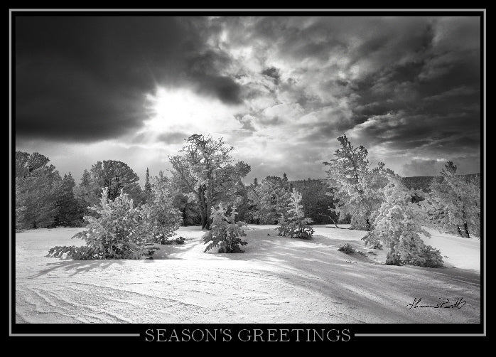 Season's Greetings Card