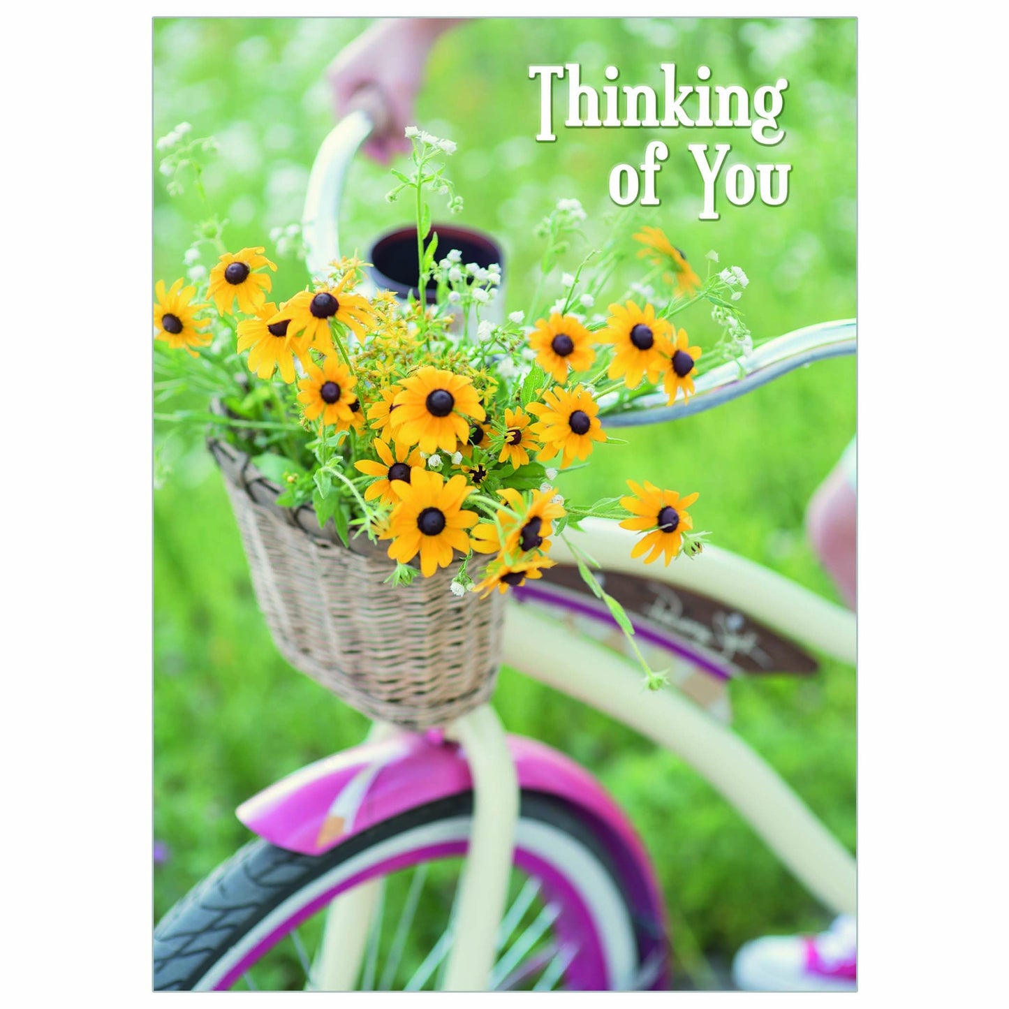 Cheerful Daisies Get Well Card