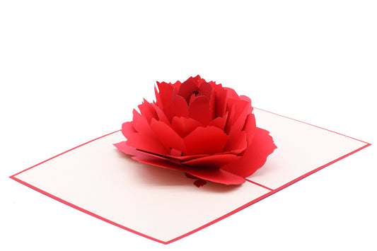 Red Rose Pop-Up Card