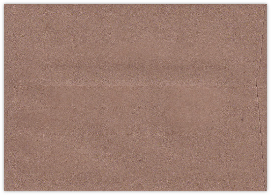 Beer Cheer Holiday Card