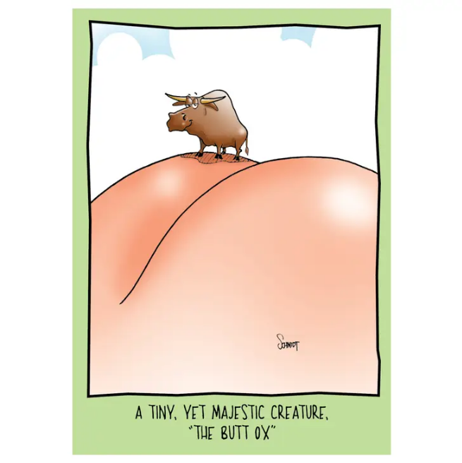 Butt Ox - Funny Birthday Card