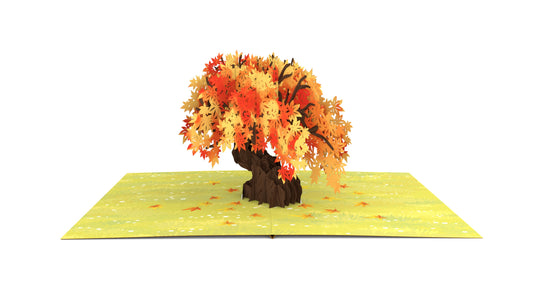 Maple Tree Pop-Up Card