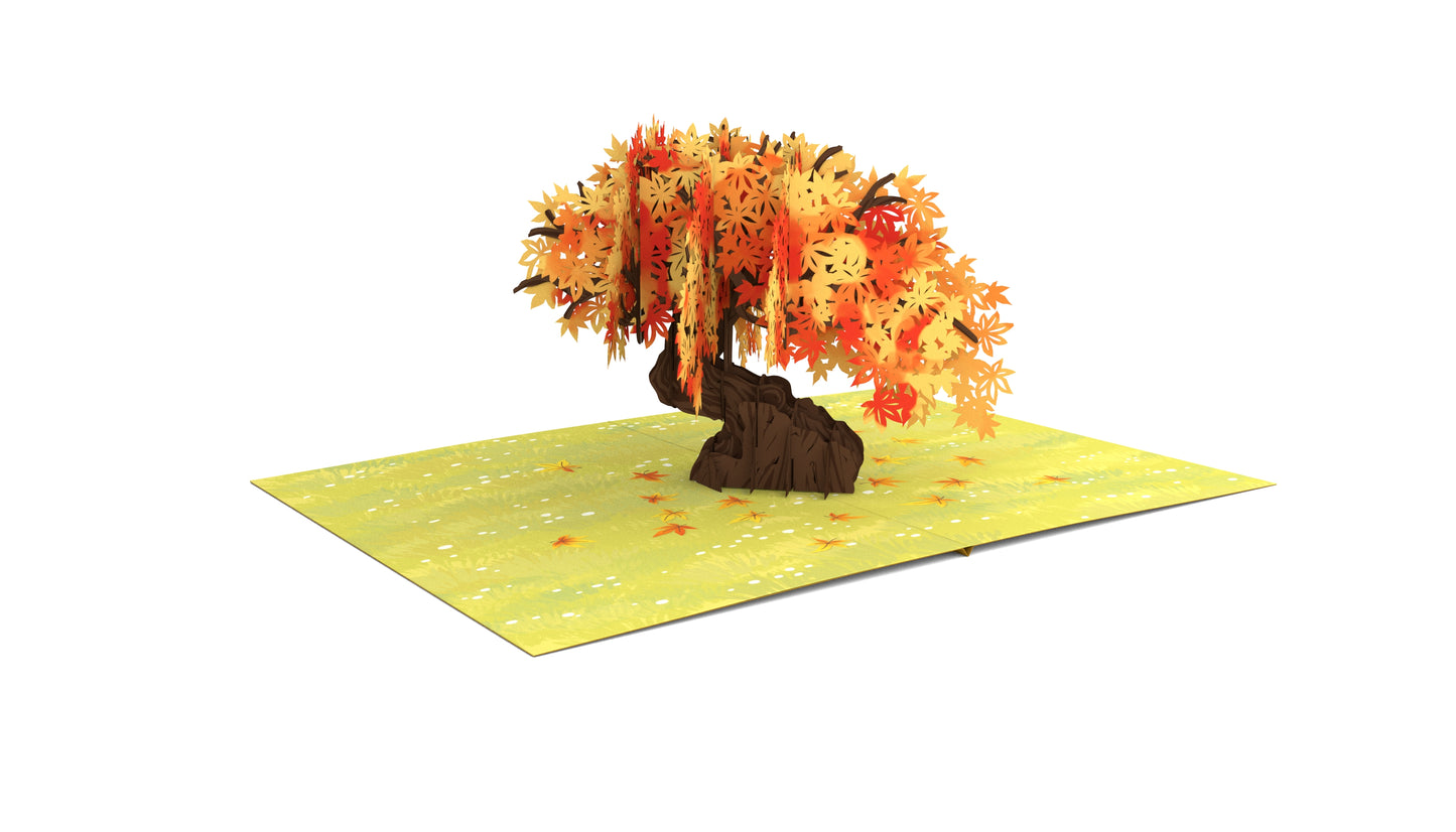 Maple Tree Pop-Up Card