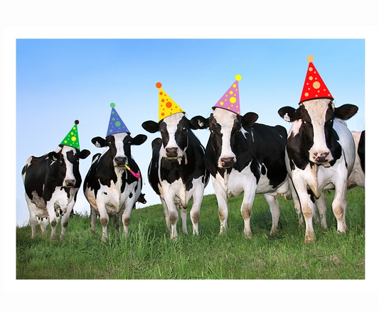 Party Cows -  Birthday Card