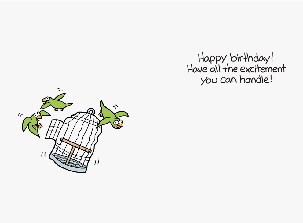 Bird Piñata Humor Birthday Card