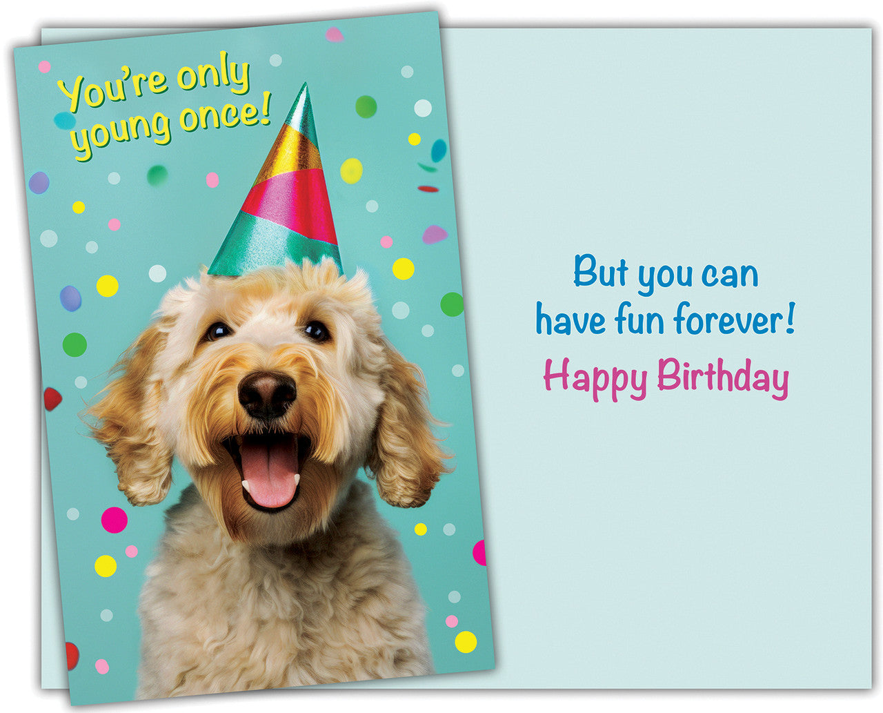 Happy Doggie Birthday Card – Blue Bird Cards