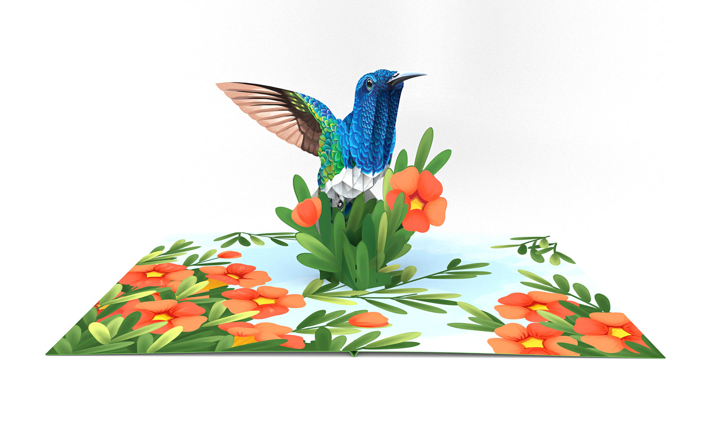 Hummingbird Pop-Up Card