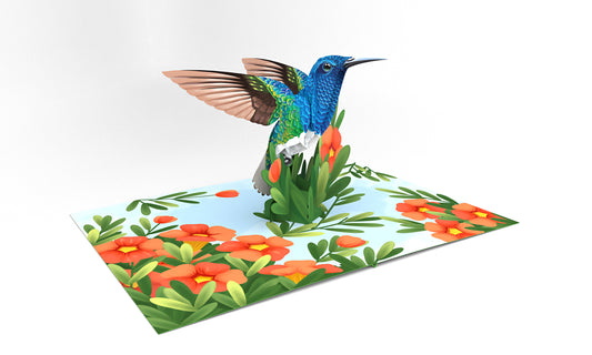 Hummingbird Pop-Up Card