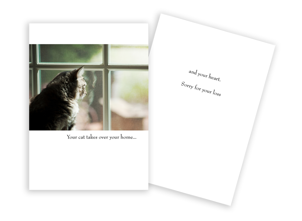 Loss Of Cat - Pet Sympathy Card