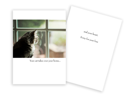 Loss Of Cat - Pet Sympathy Card