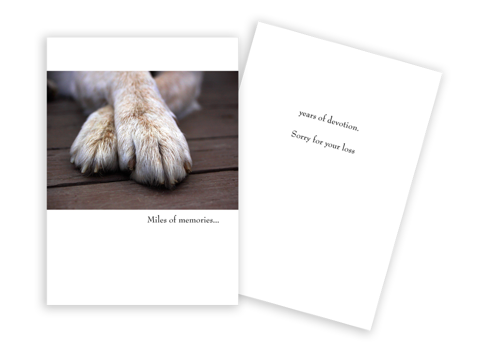 Dog Paws - Pet Sympathy Card